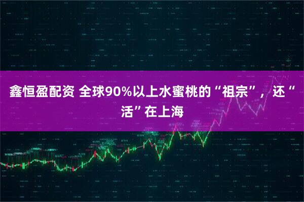 鑫恒盈配资 全球90%以上水蜜桃的“祖宗”，还“活”在上海
