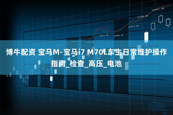 博牛配资 宝马M-宝马i7 M70L车主日常维护操作指南_检查_高压_电池