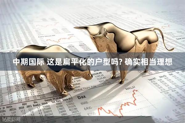 中期国际 这是扁平化的户型吗? 确实相当理想