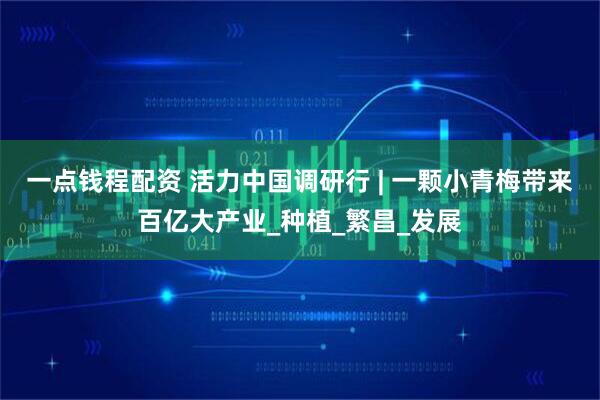 一点钱程配资 活力中国调研行 | 一颗小青梅带来百亿大产业_种植_繁昌_发展