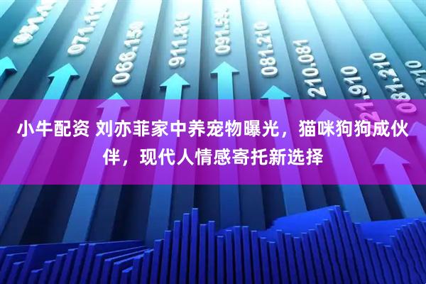 小牛配资 刘亦菲家中养宠物曝光，猫咪狗狗成伙伴，现代人情感寄托新选择